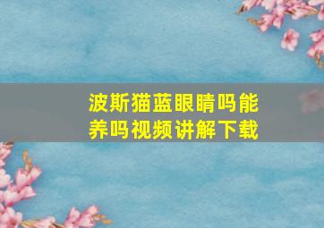 波斯猫蓝眼睛吗能养吗视频讲解下载