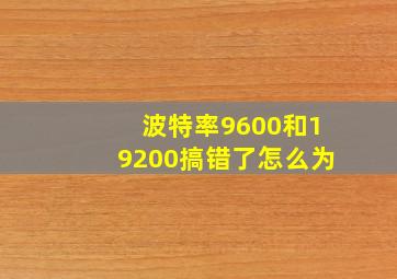 波特率9600和19200搞错了怎么为