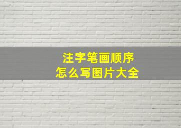 注字笔画顺序怎么写图片大全