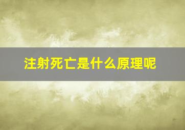 注射死亡是什么原理呢