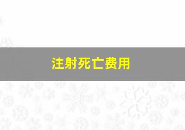 注射死亡费用