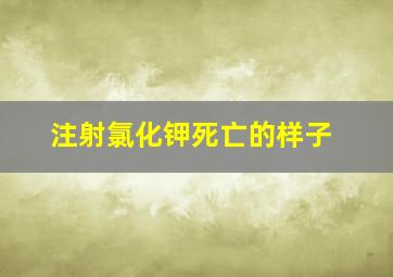 注射氯化钾死亡的样子