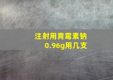 注射用青霉素钠0.96g用几支