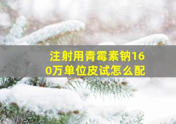 注射用青霉素钠160万单位皮试怎么配