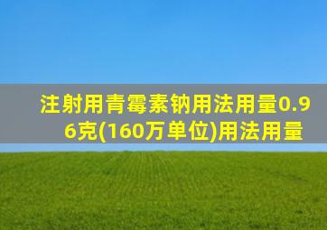 注射用青霉素钠用法用量0.96克(160万单位)用法用量