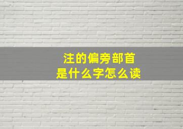 注的偏旁部首是什么字怎么读