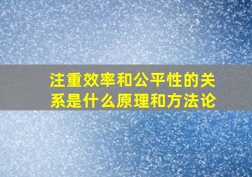 注重效率和公平性的关系是什么原理和方法论