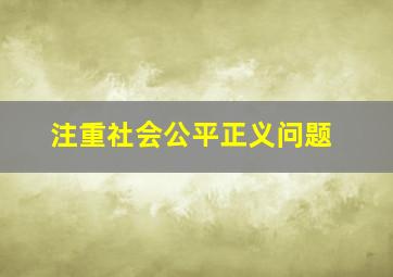 注重社会公平正义问题