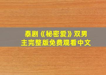 泰剧《秘密爱》双男主完整版免费观看中文