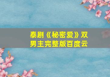 泰剧《秘密爱》双男主完整版百度云