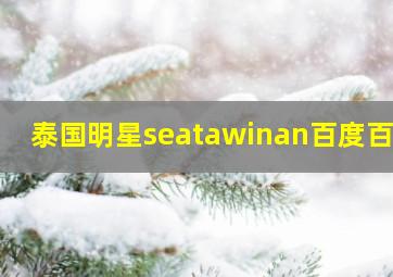 泰国明星seatawinan百度百科