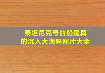 泰坦尼克号的船是真的沉入大海吗图片大全