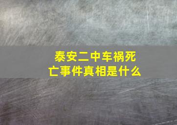 泰安二中车祸死亡事件真相是什么