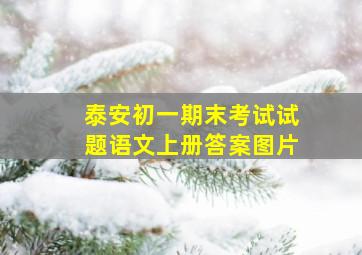 泰安初一期末考试试题语文上册答案图片