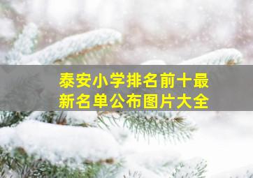 泰安小学排名前十最新名单公布图片大全