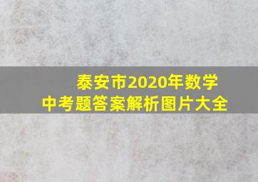 泰安市2020年数学中考题答案解析图片大全