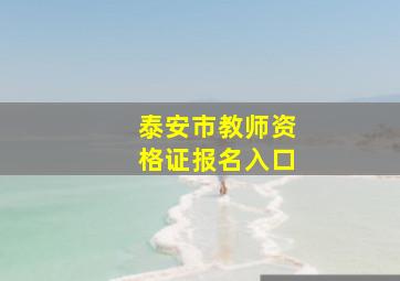 泰安市教师资格证报名入口