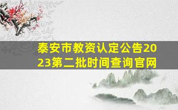 泰安市教资认定公告2023第二批时间查询官网