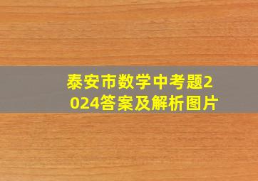 泰安市数学中考题2024答案及解析图片