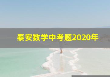 泰安数学中考题2020年