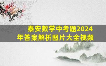 泰安数学中考题2024年答案解析图片大全视频