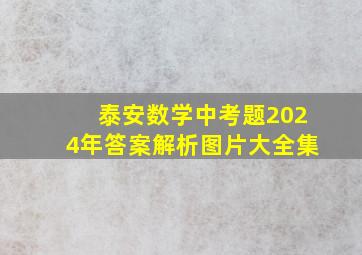 泰安数学中考题2024年答案解析图片大全集