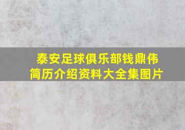 泰安足球俱乐部钱鼎伟简历介绍资料大全集图片