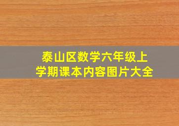 泰山区数学六年级上学期课本内容图片大全