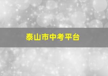 泰山市中考平台