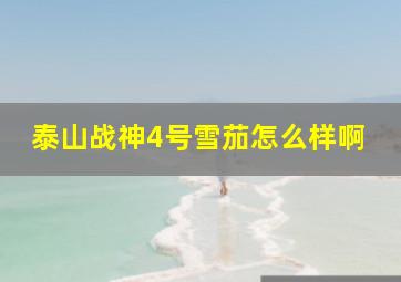 泰山战神4号雪茄怎么样啊