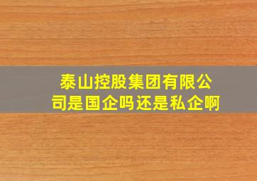 泰山控股集团有限公司是国企吗还是私企啊