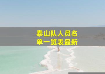 泰山队人员名单一览表最新