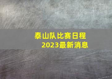 泰山队比赛日程2023最新消息