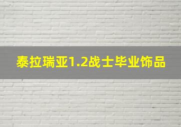 泰拉瑞亚1.2战士毕业饰品