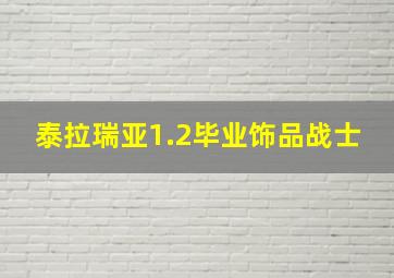 泰拉瑞亚1.2毕业饰品战士