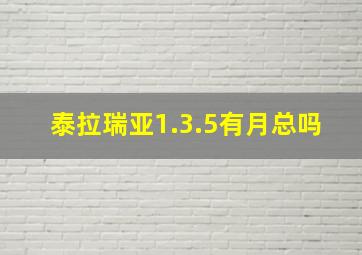 泰拉瑞亚1.3.5有月总吗