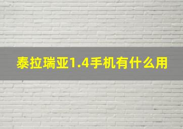 泰拉瑞亚1.4手机有什么用