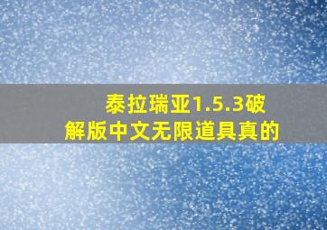 泰拉瑞亚1.5.3破解版中文无限道具真的