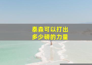 泰森可以打出多少磅的力量