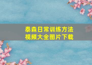 泰森日常训练方法视频大全图片下载