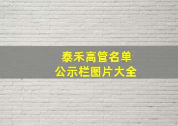 泰禾高管名单公示栏图片大全