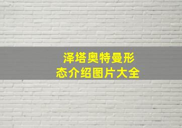 泽塔奥特曼形态介绍图片大全