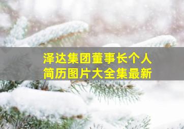 泽达集团董事长个人简历图片大全集最新