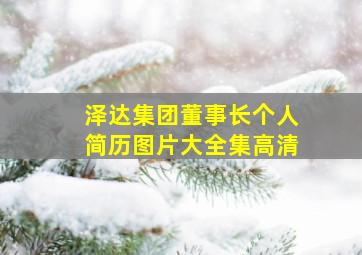 泽达集团董事长个人简历图片大全集高清