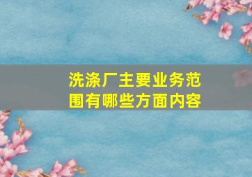 洗涤厂主要业务范围有哪些方面内容