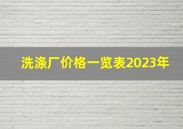 洗涤厂价格一览表2023年