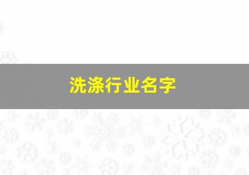 洗涤行业名字