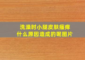 洗澡时小腿皮肤瘙痒什么原因造成的呢图片