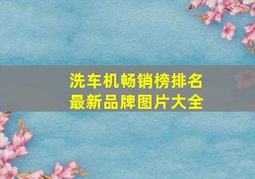 洗车机畅销榜排名最新品牌图片大全