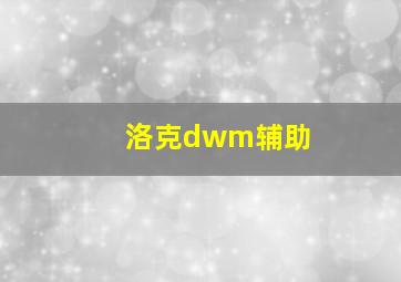 洛克dwm辅助